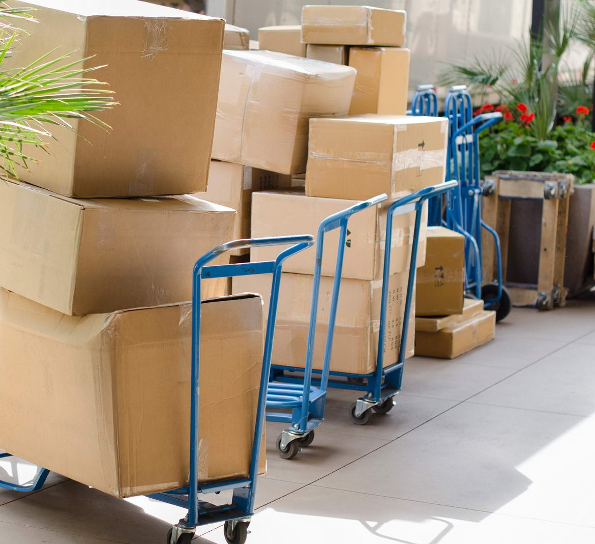 Storage Solutions